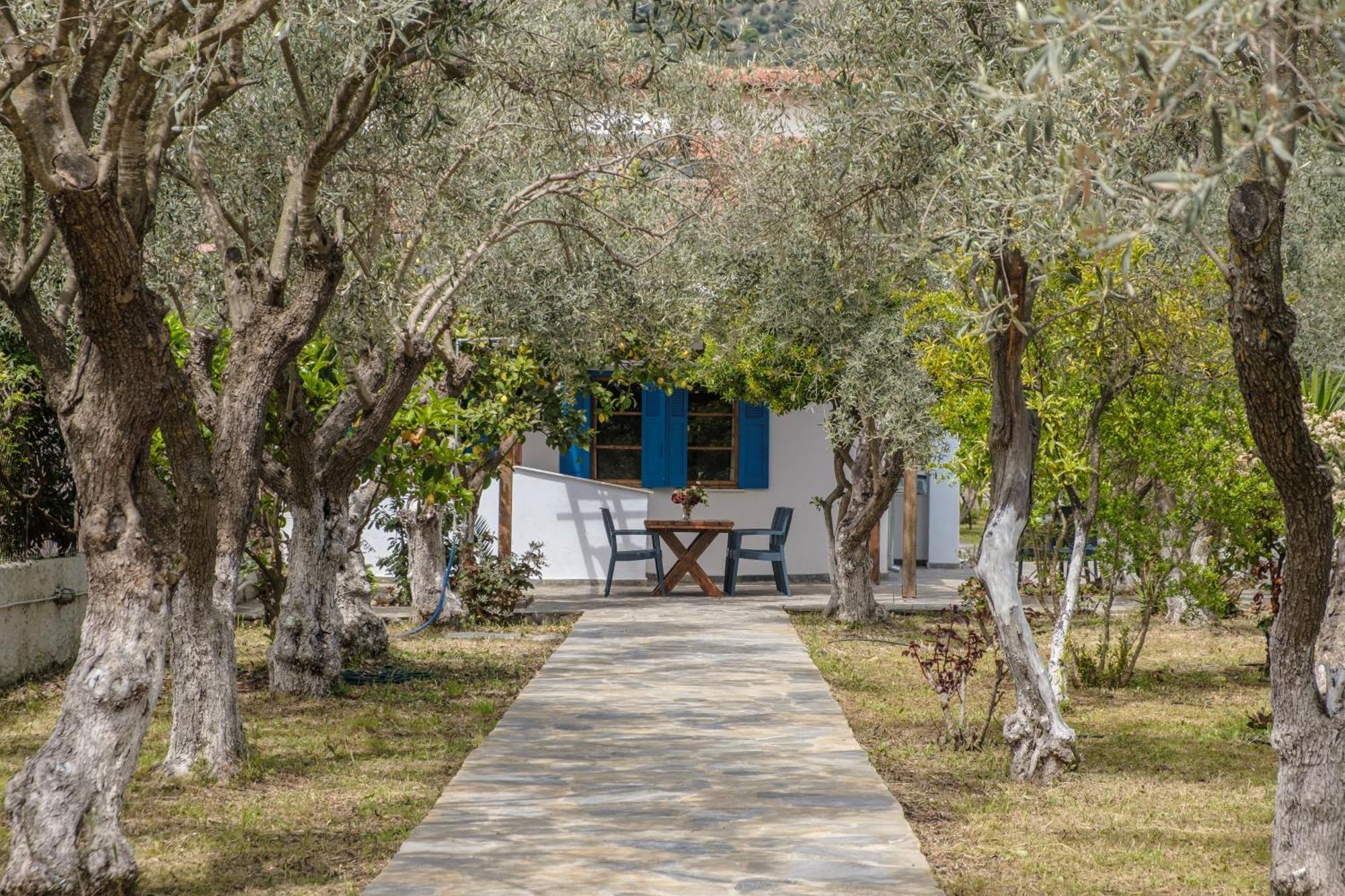 Seaside Resort Kritharia  Екстериор снимка
